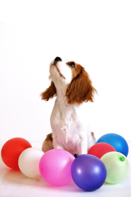 Charlie's Party, par Xavier E. G. Dierick
